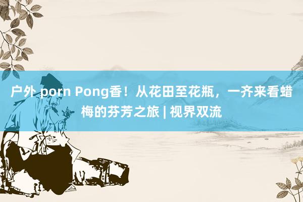 户外 porn Pong香！从花田至花瓶，一齐来看蜡梅的芬芳之旅 | 视界双流